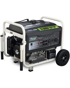 FMPPG10000B image(0) - PULSAR DUAL FUEL GENERATOR, 10000 WATTS