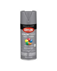 DUP5550 image(0) - COLORmax Paint Primer