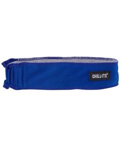 ERG12425 image(0) - 6605 Blue Headband