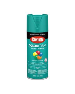 DUP5561 image(0) - COLORmax Paint Primer